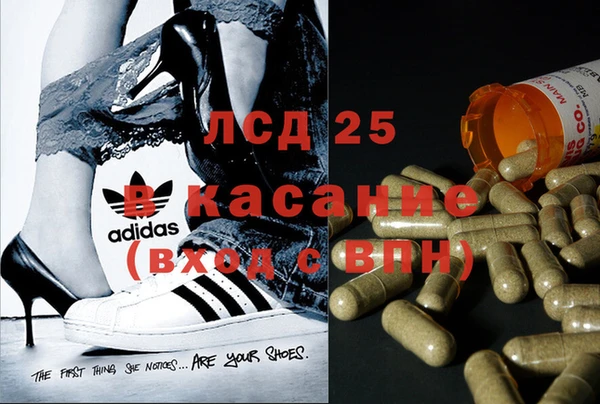 стаф Магас