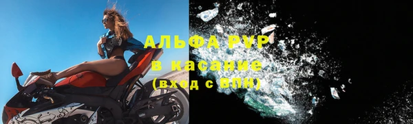 стаф Магас
