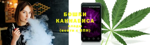 стаф Магас