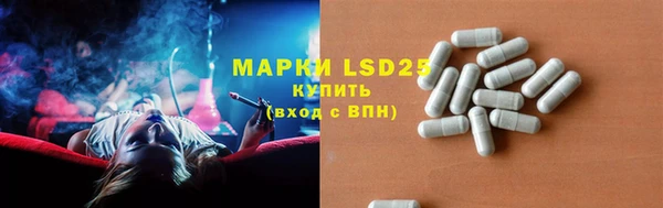 стаф Магас