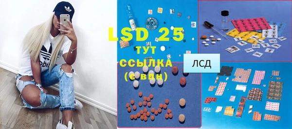 стаф Магас