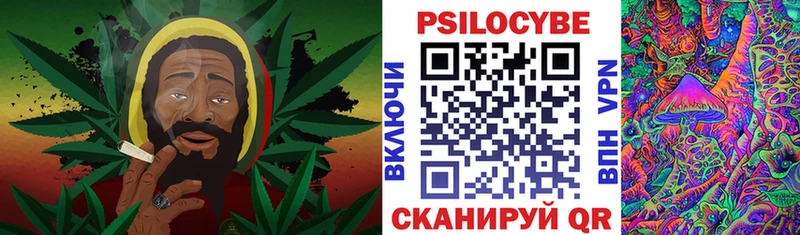 Купить где Томилино Галлюциногенные грибы мицелий